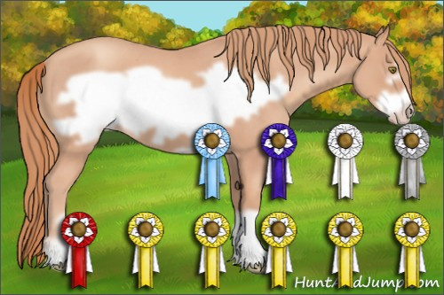 Horse Color: Gold Champagne Roan Frame 