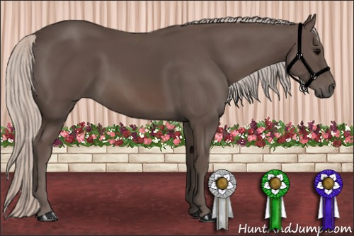 Horse Color: Silver Black Rabicano 