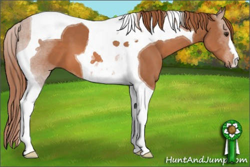 Horse Color: Liver Chestnut Tobiano 