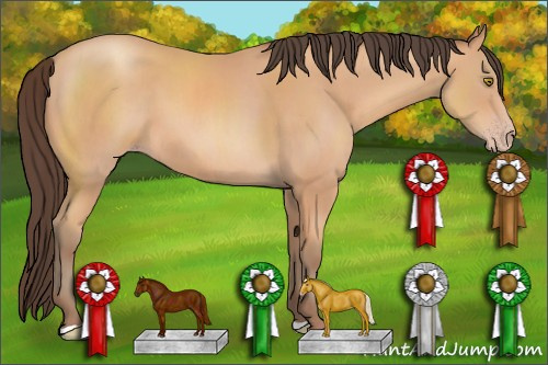 Horse Color: Amber Champagne 