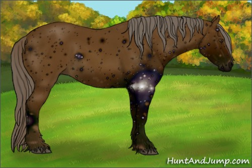 Horse Color: ERROR: UNKNOWN ANOMALY