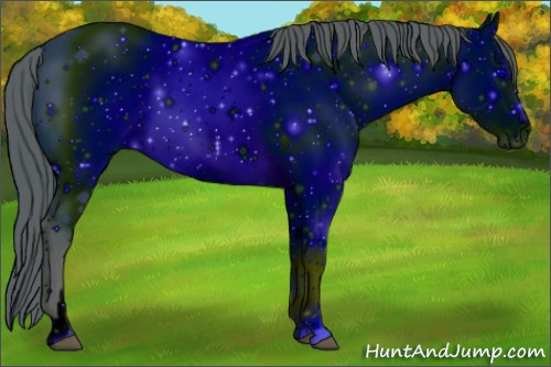 Horse Color: ERROR: UNKNOWN ANOMALY