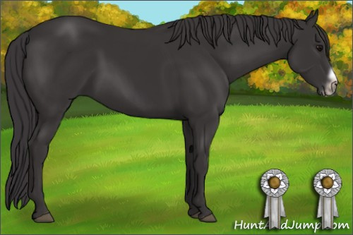 Horse Color: Buckskin Frame 