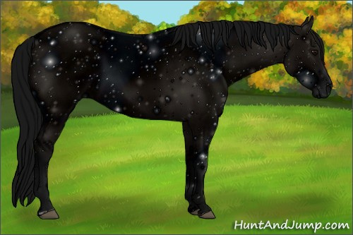 Horse Color: ERROR: UNKNOWN ANOMALY