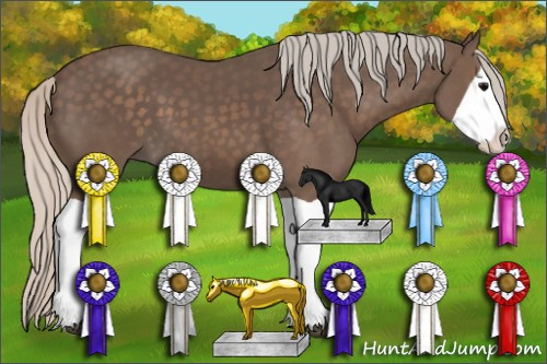 Horse Color: Silver Black Splash 