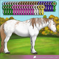 Horse Color:Chestnut Pearl Sabino Blanket 