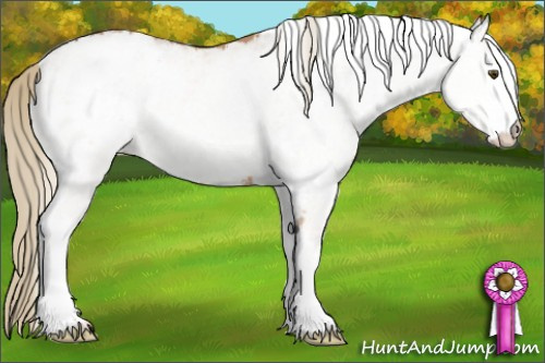 Horse Color: White Spotted Chestnut Mushroom Blanket 