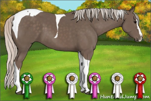 Horse Color: Silver Black Splash Tobiano 