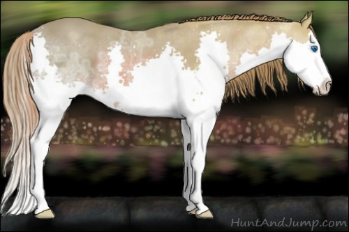 Horse Color: Watercolor Liver Chestnut Ice Splash Rabicano 