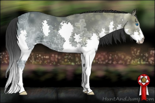 Horse Color: Brown Ice Splash 