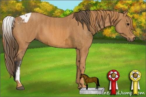 Horse Color: White Spotted Buckskin Sabino Blanket  Brindle