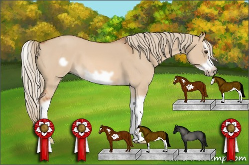 Horse Color: Red Dun Splash Frame 