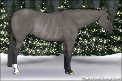 Horse Color: Grullo Rabicano 