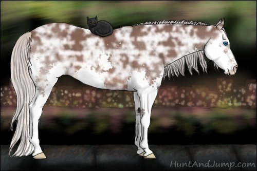 Horse Color: Silver Brown Ice Splash 