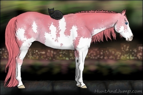 Horse Color: Watercolor Liver Chestnut Splash 