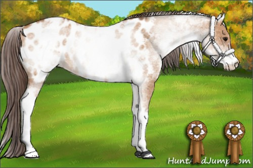 Horse Color: White Spotted Bay Dun Blanket 