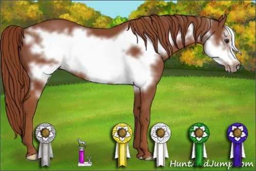 Horse Color: Liver Chestnut Frame 
