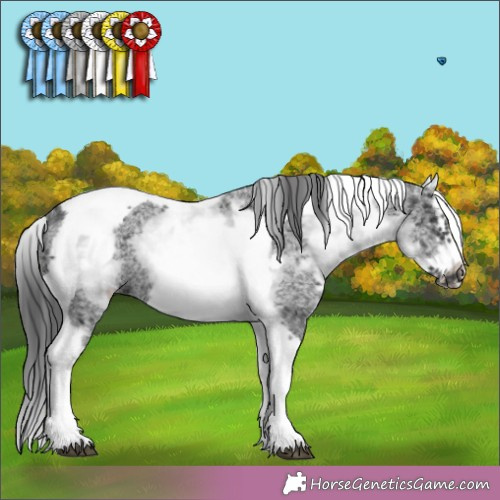 Horse Color: White Spotted Black Merle Splash Tobiano Frame Blanket 