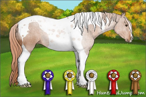 Horse Color: Chestnut Tobiano 