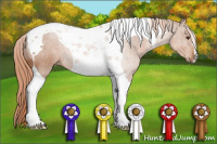 Horse Color:Chestnut Tobiano 