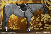 Horse Color:Blue Roan Tobiano 