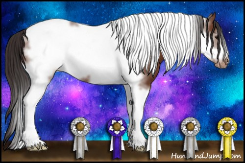 Horse Color: Bay Tobiano Frame Blanket 