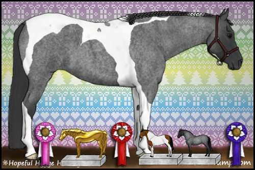 Horse Color: Blue Roan Tobiano 