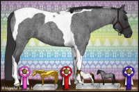 Horse Color:Blue Roan Tobiano 