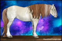 Horse Color:Gray White Spotted Gold Champagne Ice Roan Dun Rabicano 