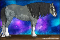 Horse Color:Black Ice Splash 