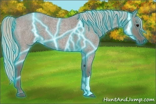 Horse Color: Thunderstruck Silver Grullo Roan 