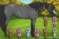 Horse Color:Blue Roan 