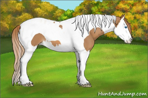 Horse Color: Chestnut Splash Tobiano 