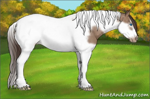 Horse Color: Bay Dun Splash Tobiano Frame Varnish 