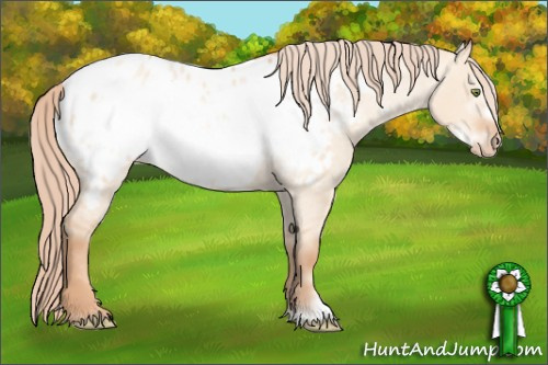 Horse Color: Gold Champagne Roan Dun Frame Blanket 
