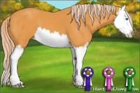 Horse Color:Chocolate Palomino Splash 
