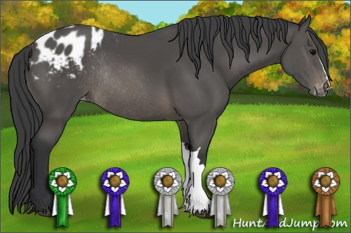 Horse Color: Brown Blanket Rabicano 