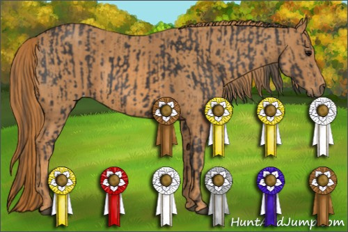 Horse Color: Buckskin Roan Sabino Varnish  Brindle