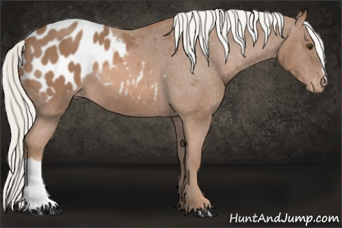 Horse Color: Chestnut Mushroom Blanket 