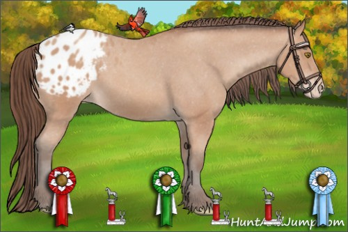 Horse Color: Amber Champagne Blanket 