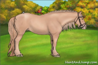 Horse Color:Gold Champagne