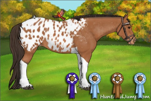 Horse Color: Bay Tobiano Blanket 