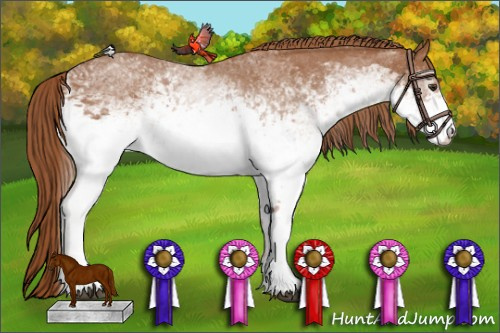 Horse Color: White Spotted Chestnut 