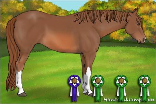 Horse Color: Liver Chestnut 