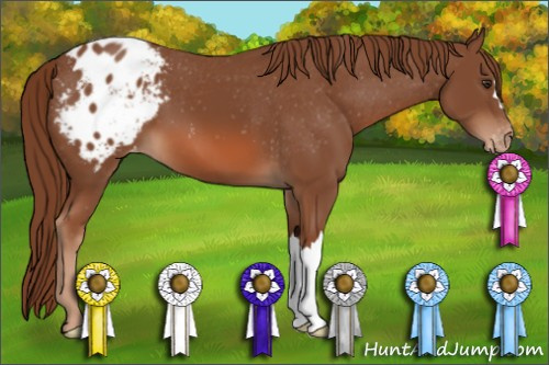 Horse Color: Liver Chestnut Blanket 
