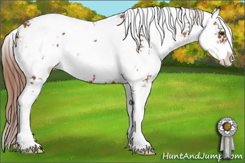 Horse Color: Liver Chestnut Sabino 