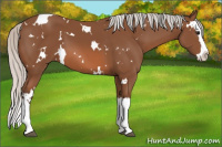 Horse Color:White Spotted Silver Bay Splash 