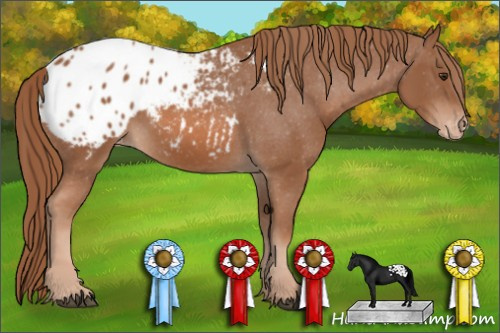 Horse Color: Liver Chestnut Sabino Blanket 