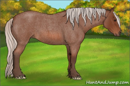Horse Color: Silver Bay Roan 