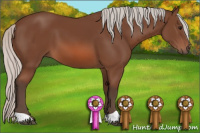 Horse Color:Silver Bay 